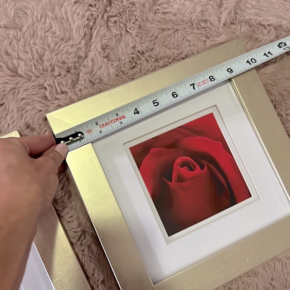 Set of 2 soft champagne gold framed rose photos white matte 10” x 10” square​​ - Picture 7 of 13